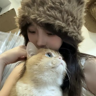 昙花梦封面